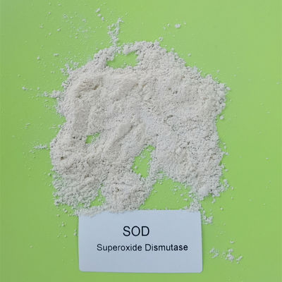 Superoxide van de hoge Zuiverheidszode Dismutase CAS 9054 89 1